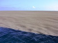 Pumice_raft