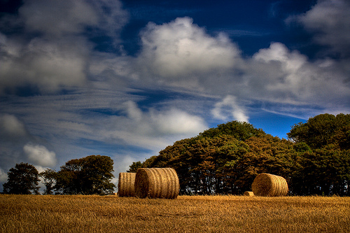 GPS tracking of hay bales