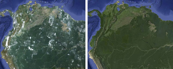 South America satellite imagery without clouds
